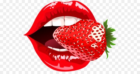 Губки поп арт