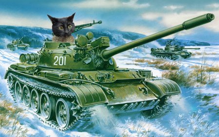 Советские танки т-55