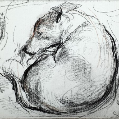 Человеческое сердце в цветах