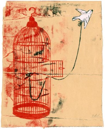 Мертвая птица в клетке