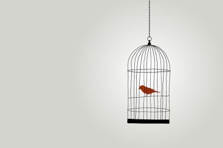 Птичка в клетке Эстетика