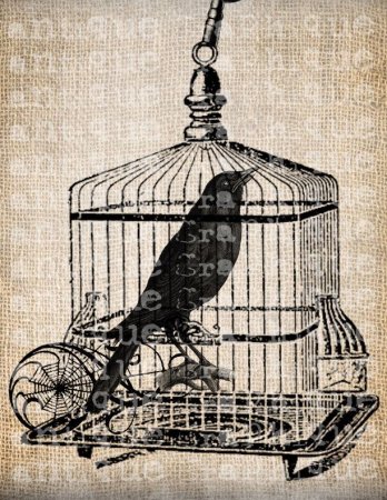 Клетка для ворона