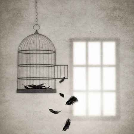 Клетка для птиц вектор