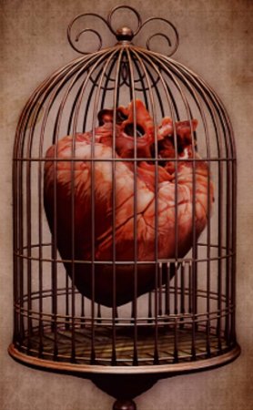 Птица вылетает из клетки