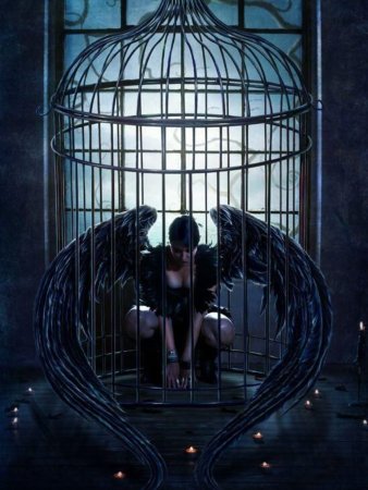 Птица в клетке