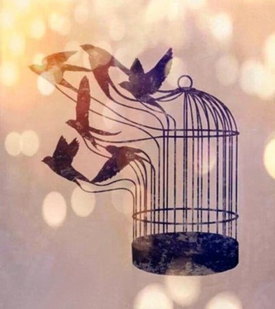 Клетка биология