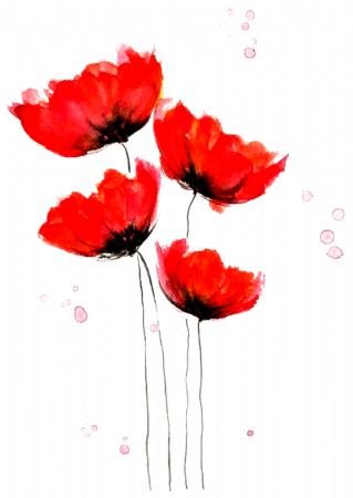 Маки акварель Джен Ханборн