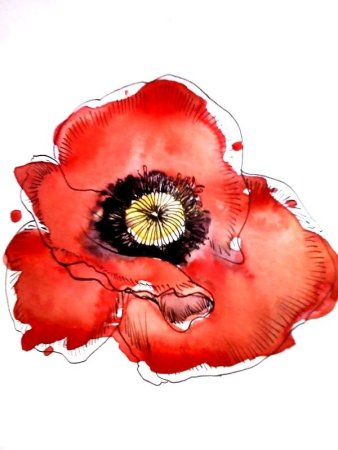 Красные цветы акварель