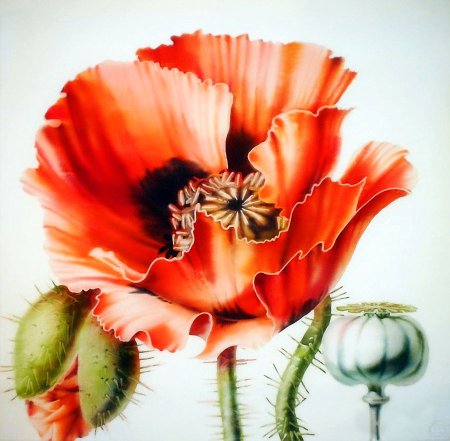 Диптих маки