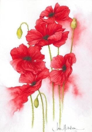 Jan Harbon акварели