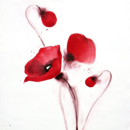 Маки акварель эскиз
