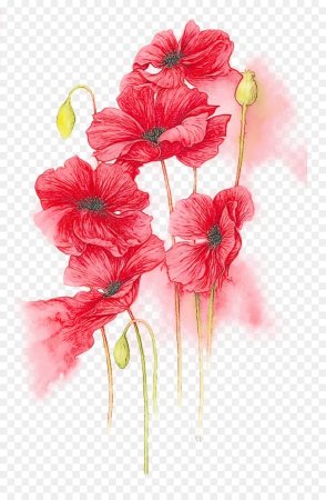 Акварель Джен Харбон