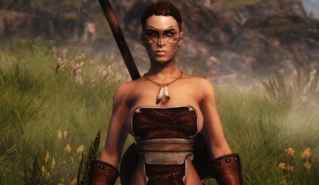 Редгардка воин