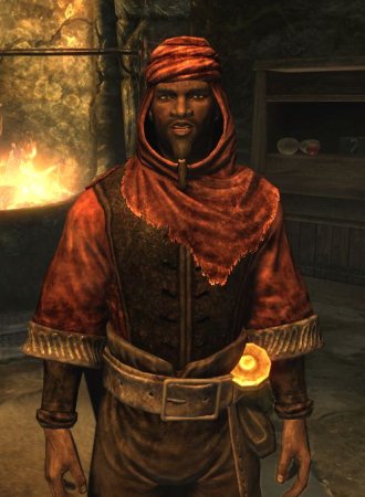 The Elder Scrolls Редгард