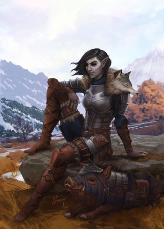 The Elder Scrolls данмеры девушки