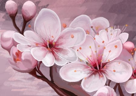 Цветы Сакуры картины