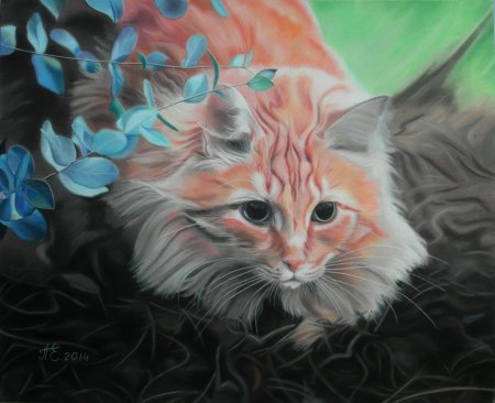 Рисунки пастелью