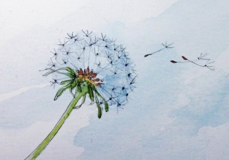 Одуванчик фломастером