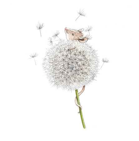 Мышка на одуванчике