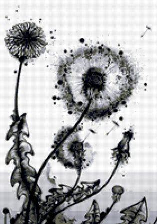 Одуванчик Графика