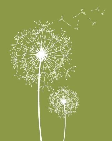 Одуванчик Минимализм
