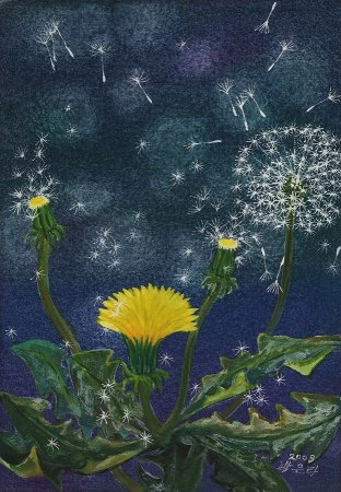 Антошкин одуванчик