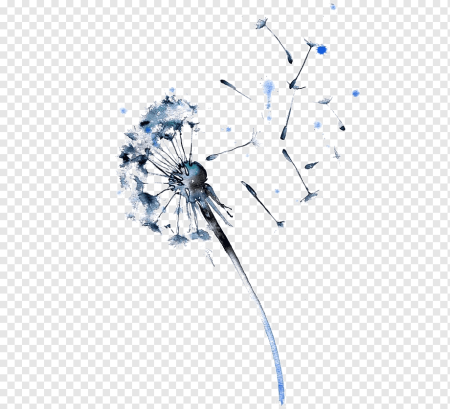 Одуванчик акварель на белом фоне