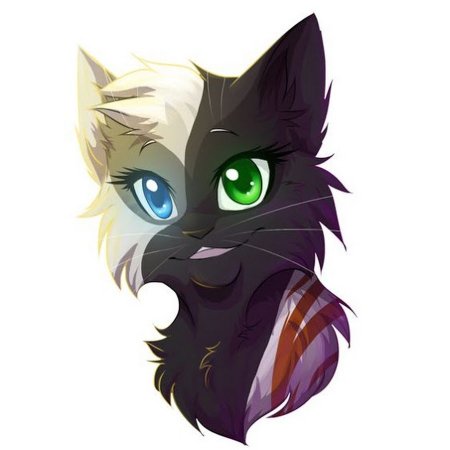 Коты Воители River Spirit воительница