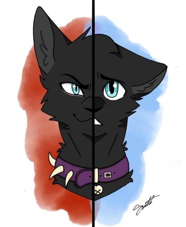 Коты Воители Бич Scourge