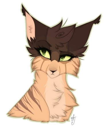 Коты Воители персонажи