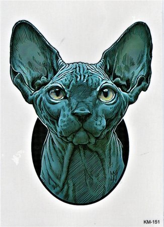 Сфинкс кошка арт