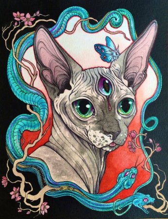 Кот сфинкс арт