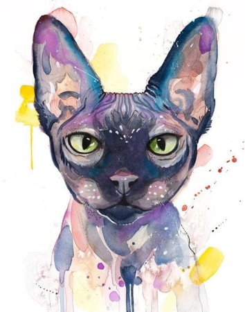 Кот сфинкс арт