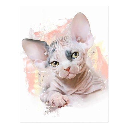 Канадский сфинкс портрет