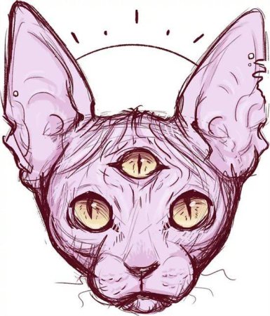 Трехглазые коты