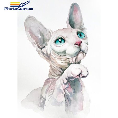 Кошка сфинкс акварель