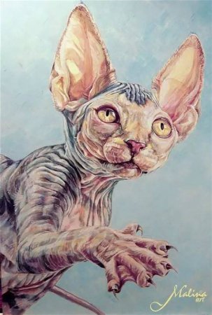 Кот сфинкс арт