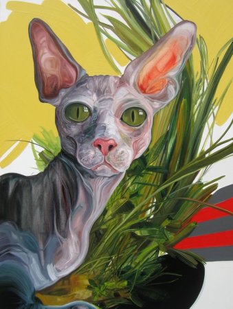 Донской сфинкс Эльф