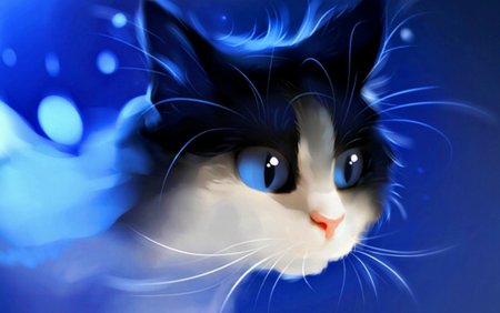 Арты котов