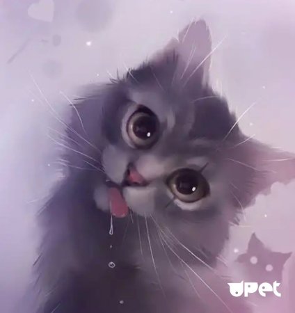 Магические коты