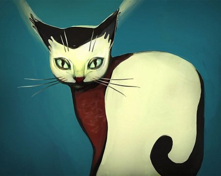 Трёхцветная кошка