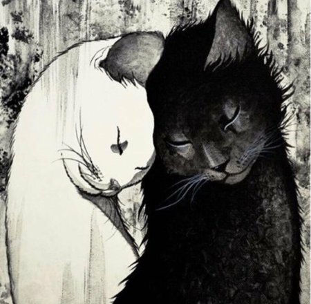 Коты Воители Мейн кун