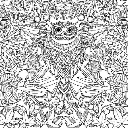 Раскраска антистресс