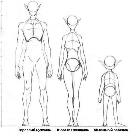 Аниме пропорции тела парня
