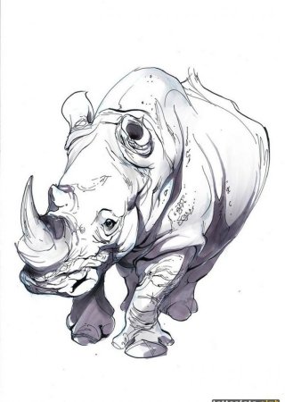 Тату носорог эскизы