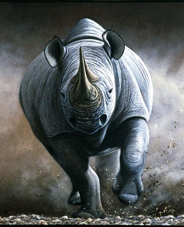 Носорог разрушитель