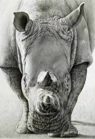 Тату носорог эскизы