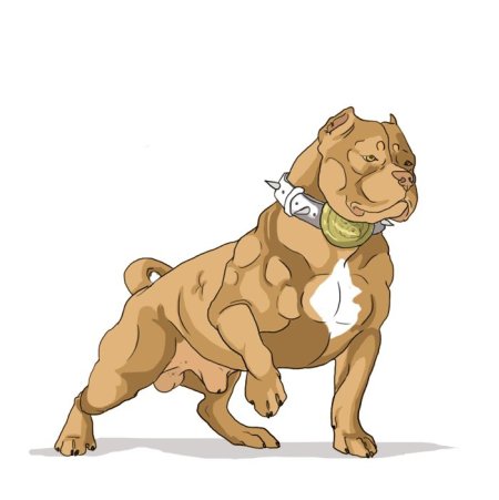 Булли собака арт