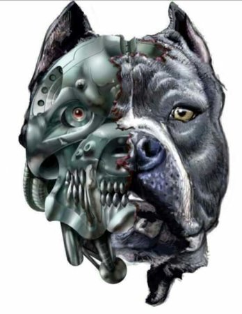 Тату злого питбуля