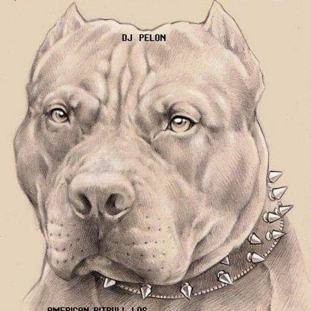 Американский стаффордширский терьер тату